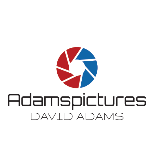Logo mit Name BLACK 500x500 NEU Logo